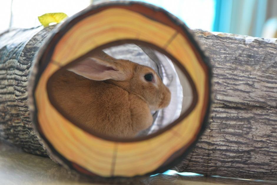 Three-Way Tree Pattern Tunnel Pet Toy For Cats And Dogs